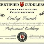 Completion Certificate (CUP)